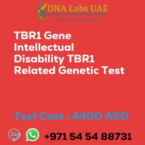 TBR1 Gene Intellectual Disability TBR1 Related Genetic Test sale cost 4400 AED