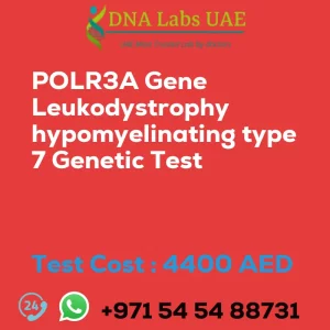 POLR3A Gene Leukodystrophy hypomyelinating type 7 Genetic Test sale cost 4400 AED