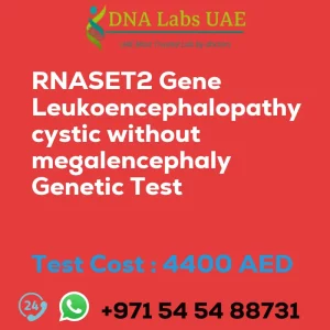 RNASET2 Gene Leukoencephalopathy cystic without megalencephaly Genetic Test sale cost 4400 AED