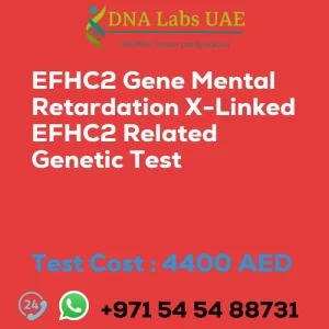 EFHC2 Gene Mental Retardation X-Linked EFHC2 Related Genetic Test sale cost 4400 AED