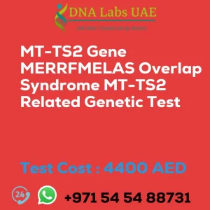 MT-TS2 Gene MERRFMELAS Overlap Syndrome MT-TS2 Related Genetic Test sale cost 4400 AED