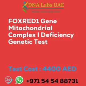 FOXRED1 Gene Mitochondrial Complex I Deficiency Genetic Test sale cost 4400 AED