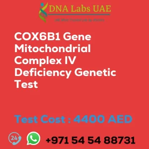 COX6B1 Gene Mitochondrial Complex IV Deficiency Genetic Test sale cost 4400 AED