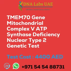 TMEM70 Gene Mitochondrial Complex V ATP Synthase Deficiency Nuclear Type 2 Genetic Test sale cost 4400 AED