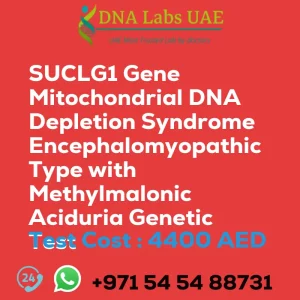 SUCLG1 Gene Mitochondrial DNA Depletion Syndrome Encephalomyopathic Type with Methylmalonic Aciduria Genetic Test sale cost 4400 AED