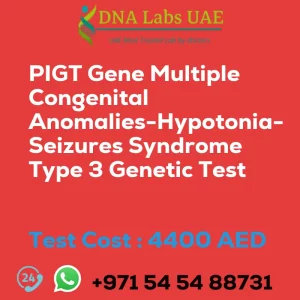 PIGT Gene Multiple Congenital Anomalies-Hypotonia-Seizures Syndrome Type 3 Genetic Test sale cost 4400 AED