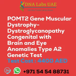 POMT2 Gene Muscular Dystrophy-Dystroglycanopathy Congenital with Brain and Eye Anomalies Type A2 Genetic Test sale cost 4400 AED