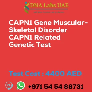 CAPN1 Gene Muscular-Skeletal Disorder CAPN1 Related Genetic Test sale cost 4400 AED