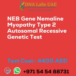 NEB Gene Nemaline Myopathy Type 2 Autosomal Recessive Genetic Test sale cost 4400 AED