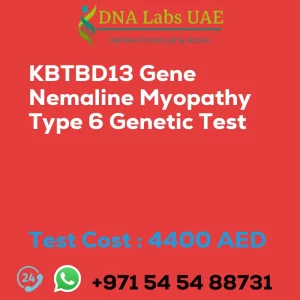 KBTBD13 Gene Nemaline Myopathy Type 6 Genetic Test sale cost 4400 AED