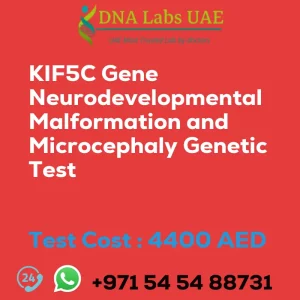 KIF5C Gene Neurodevelopmental Malformation and Microcephaly Genetic Test sale cost 4400 AED