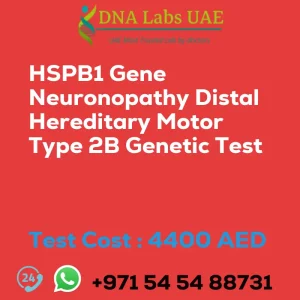 HSPB1 Gene Neuronopathy Distal Hereditary Motor Type 2B Genetic Test sale cost 4400 AED