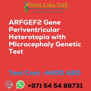 ARFGEF2 Gene Periventricular Heterotopia with Microcephaly Genetic Test sale cost 4400 AED