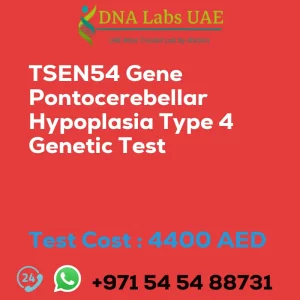 TSEN54 Gene Pontocerebellar Hypoplasia Type 4 Genetic Test sale cost 4400 AED