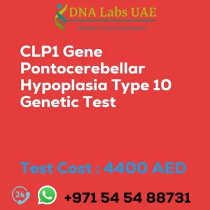 CLP1 Gene Pontocerebellar Hypoplasia Type 10 Genetic Test sale cost 4400 AED