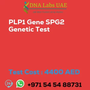 PLP1 Gene SPG2 Genetic Test sale cost 4400 AED