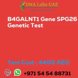 B4GALNT1 Gene SPG26 Genetic Test sale cost 4400 AED