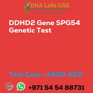 DDHD2 Gene SPG54 Genetic Test sale cost 4400 AED