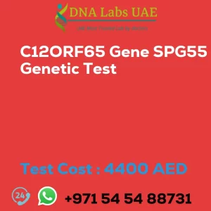 C12ORF65 Gene SPG55 Genetic Test sale cost 4400 AED