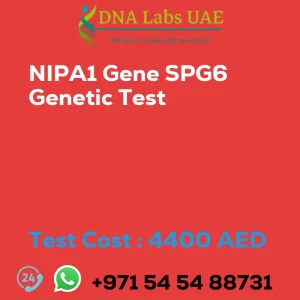 NIPA1 Gene SPG6 Genetic Test sale cost 4400 AED