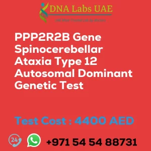 PPP2R2B Gene Spinocerebellar Ataxia Type 12 Autosomal Dominant Genetic Test sale cost 4400 AED