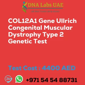 COL12A1 Gene Ullrich Congenital Muscular Dystrophy Type 2 Genetic Test sale cost 4400 AED