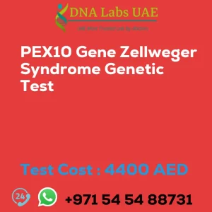 PEX10 Gene Zellweger Syndrome Genetic Test sale cost 4400 AED