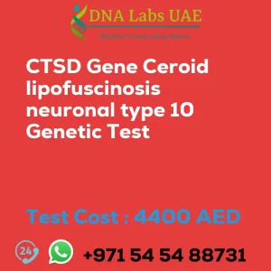 CTSD Gene Ceroid lipofuscinosis neuronal type 10 Genetic Test sale cost 4400 AED