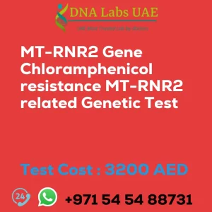 MT-RNR2 Gene Chloramphenicol resistance MT-RNR2 related Genetic Test sale cost 3200 AED