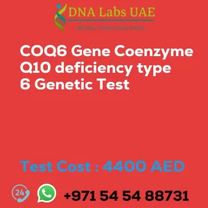 COQ6 Gene Coenzyme Q10 deficiency type 6 Genetic Test sale cost 4400 AED