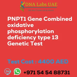 PNPT1 Gene Combined oxidative phosphorylation deficiency type 13 Genetic Test sale cost 4400 AED