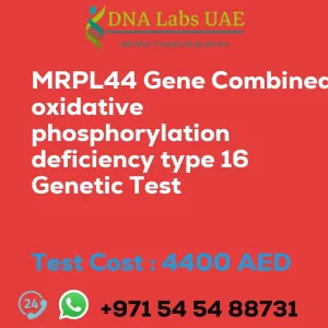 MRPL44 Gene Combined oxidative phosphorylation deficiency type 16 Genetic Test sale cost 4400 AED