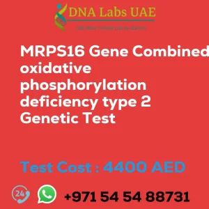 MRPS16 Gene Combined oxidative phosphorylation deficiency type 2 Genetic Test sale cost 4400 AED