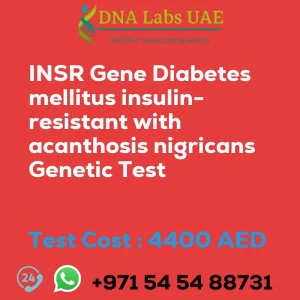 INSR Gene Diabetes mellitus insulin-resistant with acanthosis nigricans Genetic Test sale cost 4400 AED