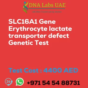 SLC16A1 Gene Erythrocyte lactate transporter defect Genetic Test sale cost 4400 AED