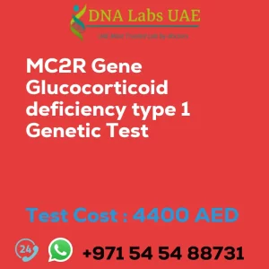 MC2R Gene Glucocorticoid deficiency type 1 Genetic Test sale cost 4400 AED