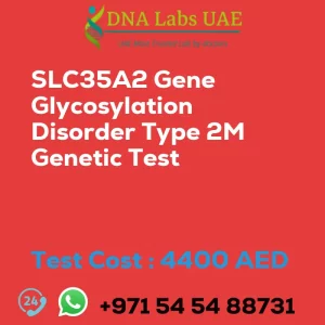 SLC35A2 Gene Glycosylation Disorder Type 2M Genetic Test sale cost 4400 AED