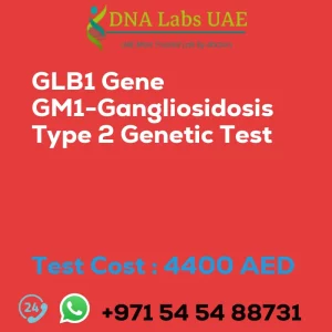 GLB1 Gene GM1-Gangliosidosis Type 2 Genetic Test sale cost 4400 AED