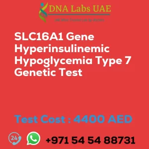 SLC16A1 Gene Hyperinsulinemic Hypoglycemia Type 7 Genetic Test sale cost 4400 AED