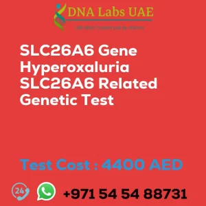 SLC26A6 Gene Hyperoxaluria SLC26A6 Related Genetic Test sale cost 4400 AED