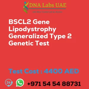 BSCL2 Gene Lipodystrophy Generalized Type 2 Genetic Test sale cost 4400 AED