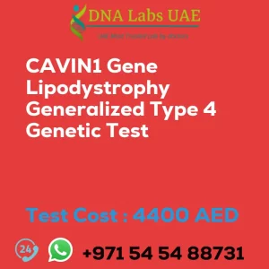 CAVIN1 Gene Lipodystrophy Generalized Type 4 Genetic Test sale cost 4400 AED