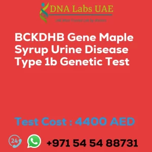 BCKDHB Gene Maple Syrup Urine Disease Type 1b Genetic Test sale cost 4400 AED