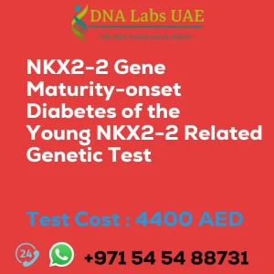 NKX2-2 Gene Maturity-onset Diabetes of the Young NKX2-2 Related Genetic Test sale cost 4400 AED