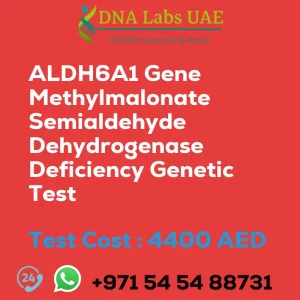 ALDH6A1 Gene Methylmalonate Semialdehyde Dehydrogenase Deficiency Genetic Test sale cost 4400 AED