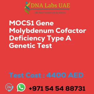 MOCS1 Gene Molybdenum Cofactor Deficiency Type A Genetic Test sale cost 4400 AED