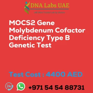 MOCS2 Gene Molybdenum Cofactor Deficiency Type B Genetic Test sale cost 4400 AED