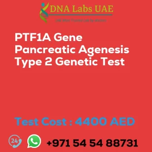 PTF1A Gene Pancreatic Agenesis Type 2 Genetic Test sale cost 4400 AED