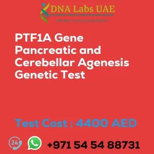 PTF1A Gene Pancreatic and Cerebellar Agenesis Genetic Test sale cost 4400 AED