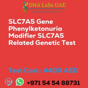 SLC7A5 Gene Phenylketonuria Modifier SLC7A5 Related Genetic Test sale cost 4400 AED